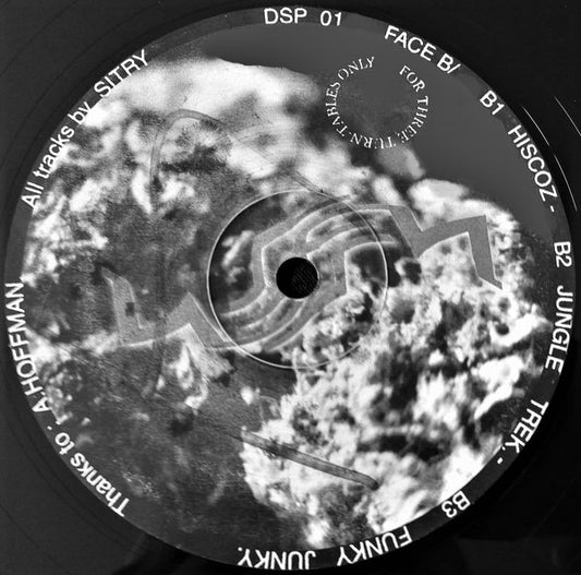 DSP 01 Bad Sector  / Sitry