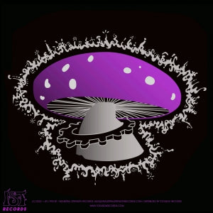 IST 11 RP PURPLE